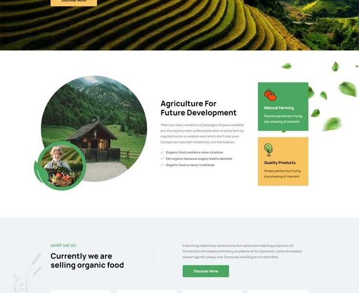 Website Design Services
