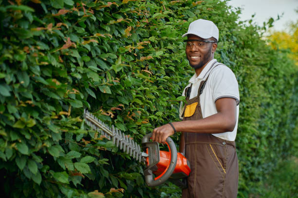 I will handle all your compound, Landscaping and gardening needs