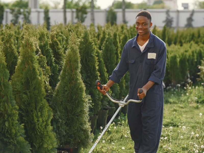 I will handle all your compound, Landscaping and gardening needs